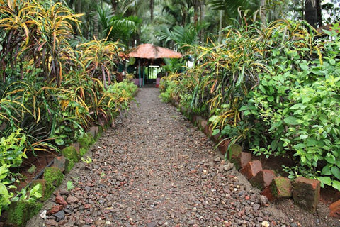 Cottage Stay at Kolad Among Plantations