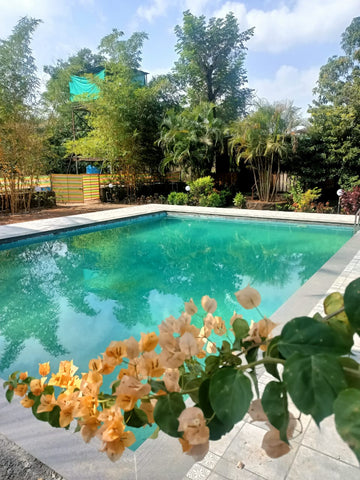 Cottages Stay at Rafting Start Point