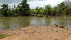 Cottages Stay at Rafting Start Point