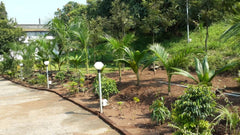 Hill Resort at Kolad with Ac Rooms