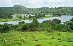 River Rafting at Kolad - Rs 1200 Weekdays